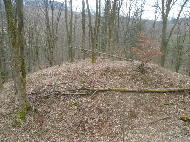 Huzová – hrádek