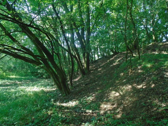 Zákřovice – tvrz