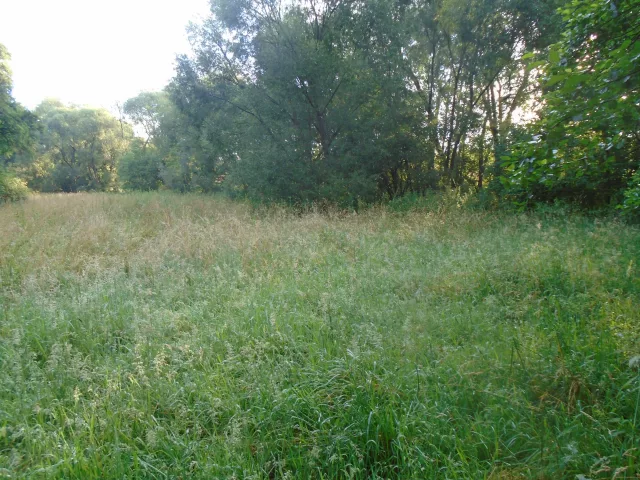 Zákřovice – tvrz