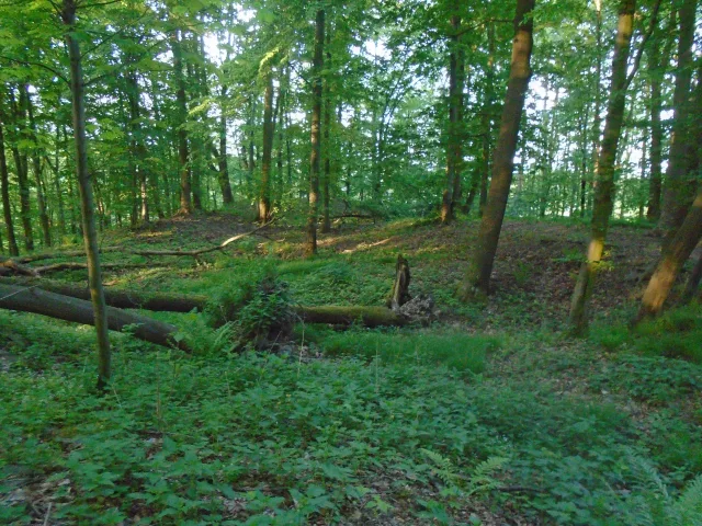 Tepenec – hrad