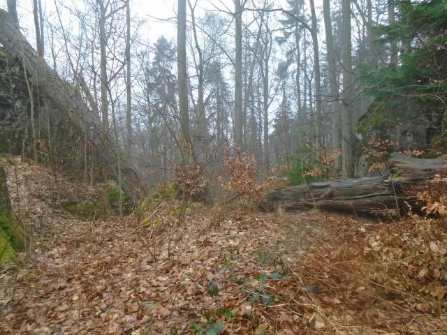 Špraněk – hrad