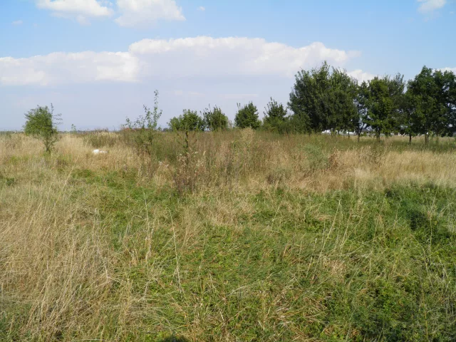 Dubčany – tvrz