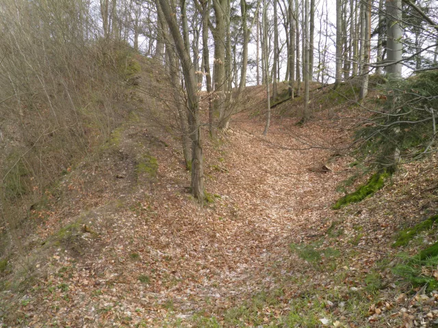 Líšnice – tvrz