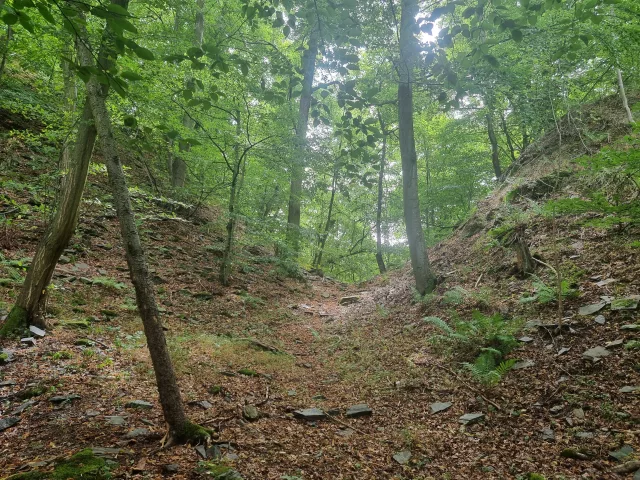 Vícov (Ježův hrad) – hrad