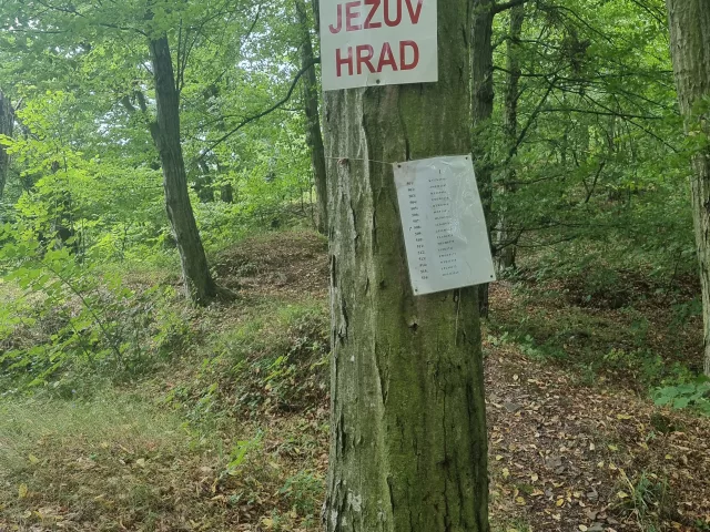Vícov (Ježův hrad) – hrad