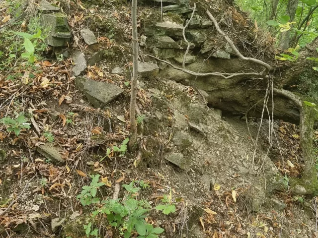 Vícov (Ježův hrad) – hrad