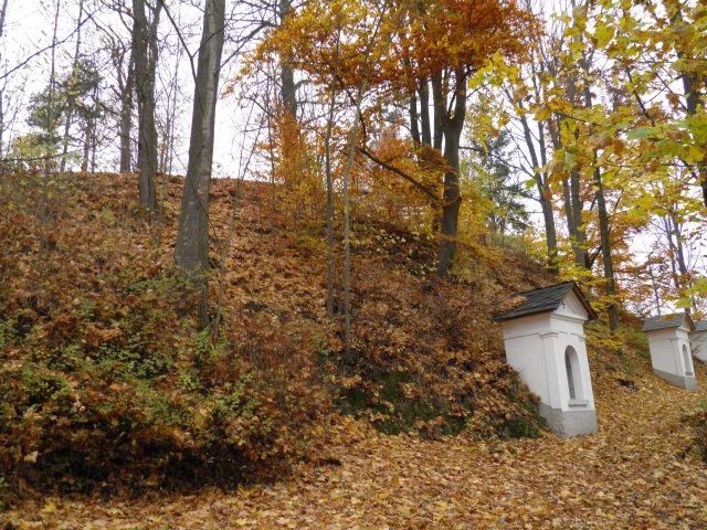 Moravský Beroun – hrad