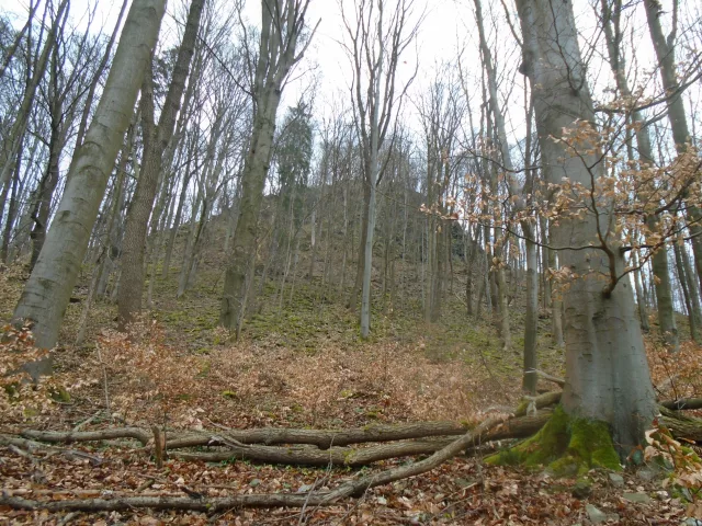 Hluboký – hrad