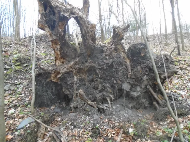 Hluboký – hrad