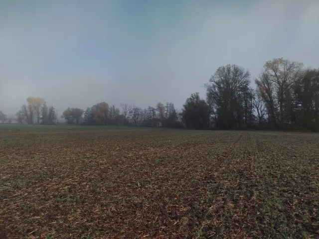 Brodek u Prostějova (Bažantnice) – tvrz