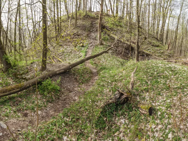 Hluboký – hrad
