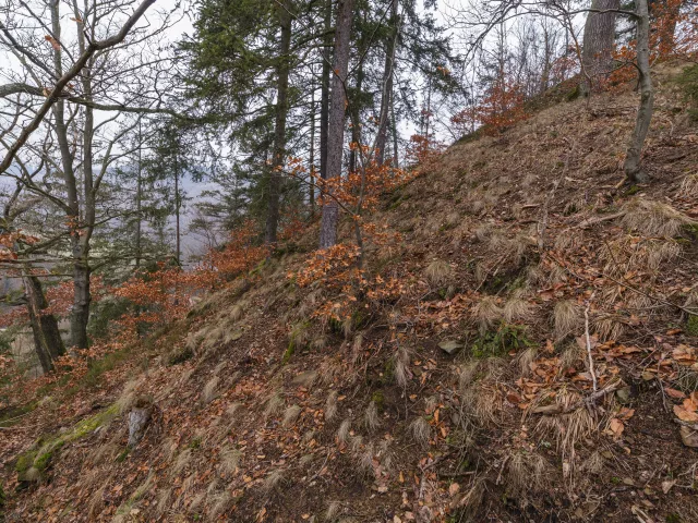 Čertův hrádek – hrádek