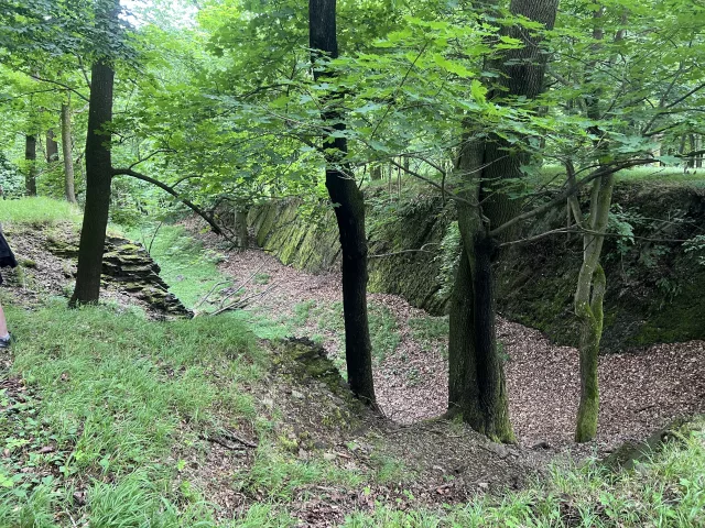 Starý Plumlov – hrad