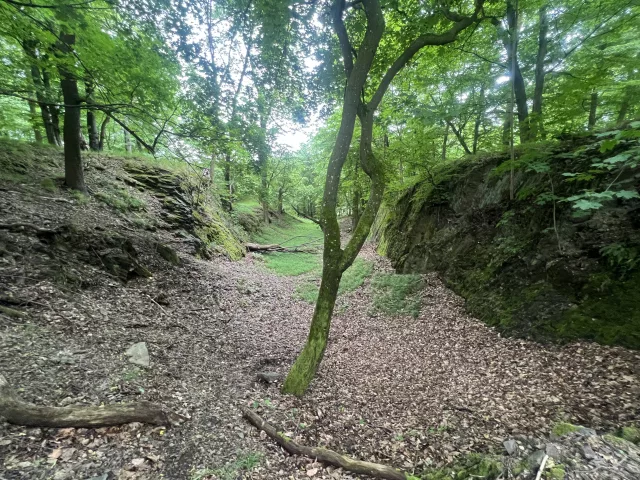 Starý Plumlov – hrad