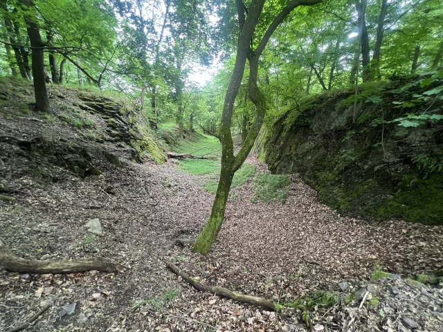 Starý Plumlov – hrad