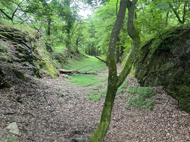 Starý Plumlov – hrad