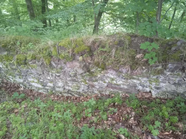 Starý Plumlov – hrad