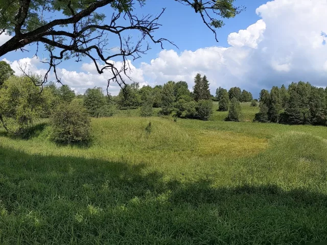 Velká Střelná – tvrz (motte)