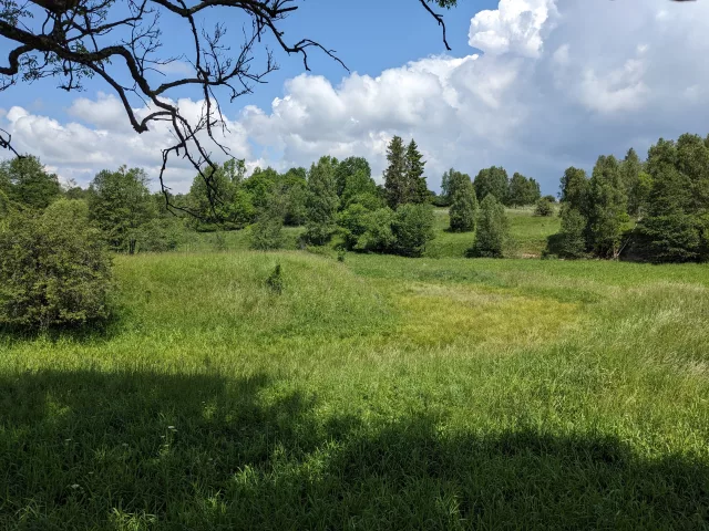 Velká Střelná – tvrz (motte)