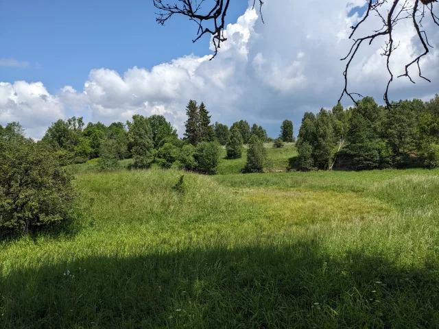 Velká Střelná – tvrz (motte)