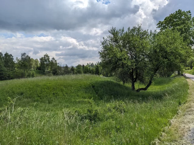 Velká Střelná – tvrz (motte)