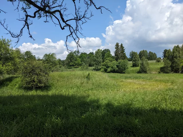 Velká Střelná – tvrz (motte)