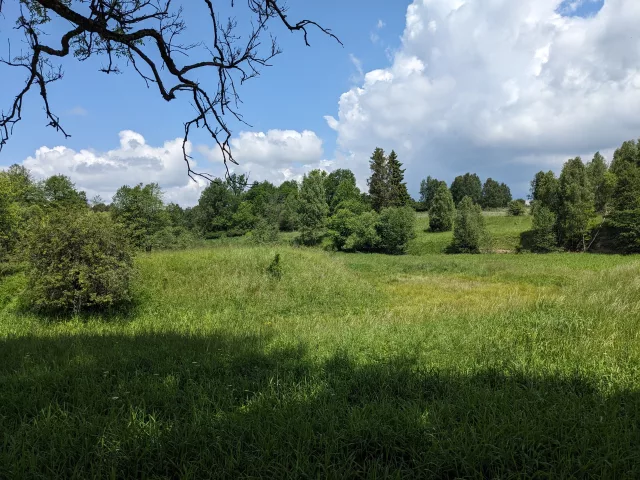 Velká Střelná – tvrz (motte)
